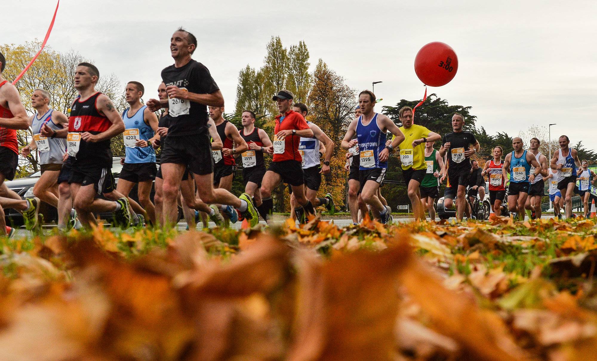 Dublin Marathon 2017 @ Phoenix Park | County Dublin | Ireland